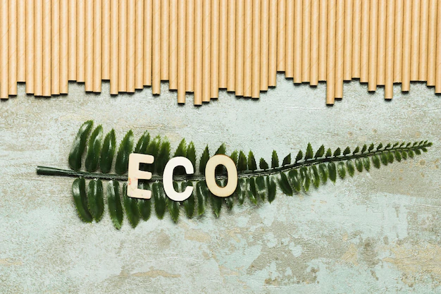 Design Éthique et Éco-Responsable : Construire un Avenir Durable